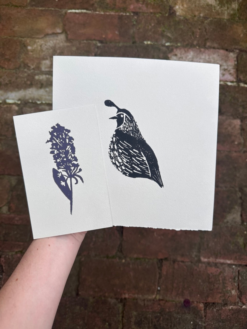 Quail & Butterfly Bush Bundle